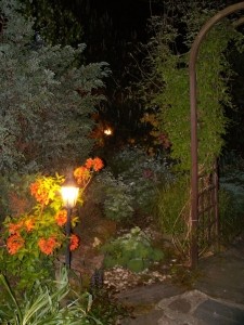 Ogród nocą